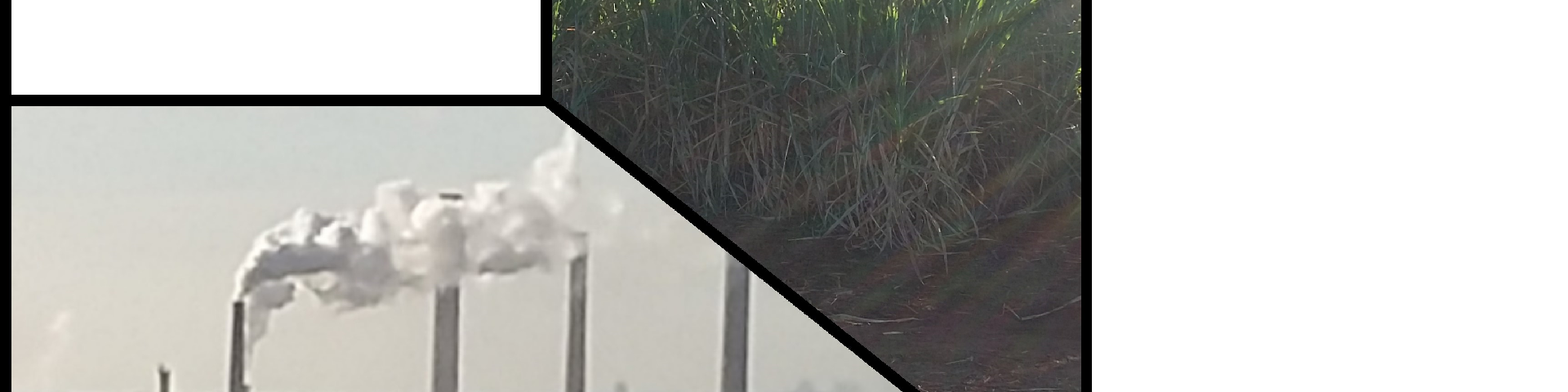 Agroindústria, açúcar, álcool, bebida, etc